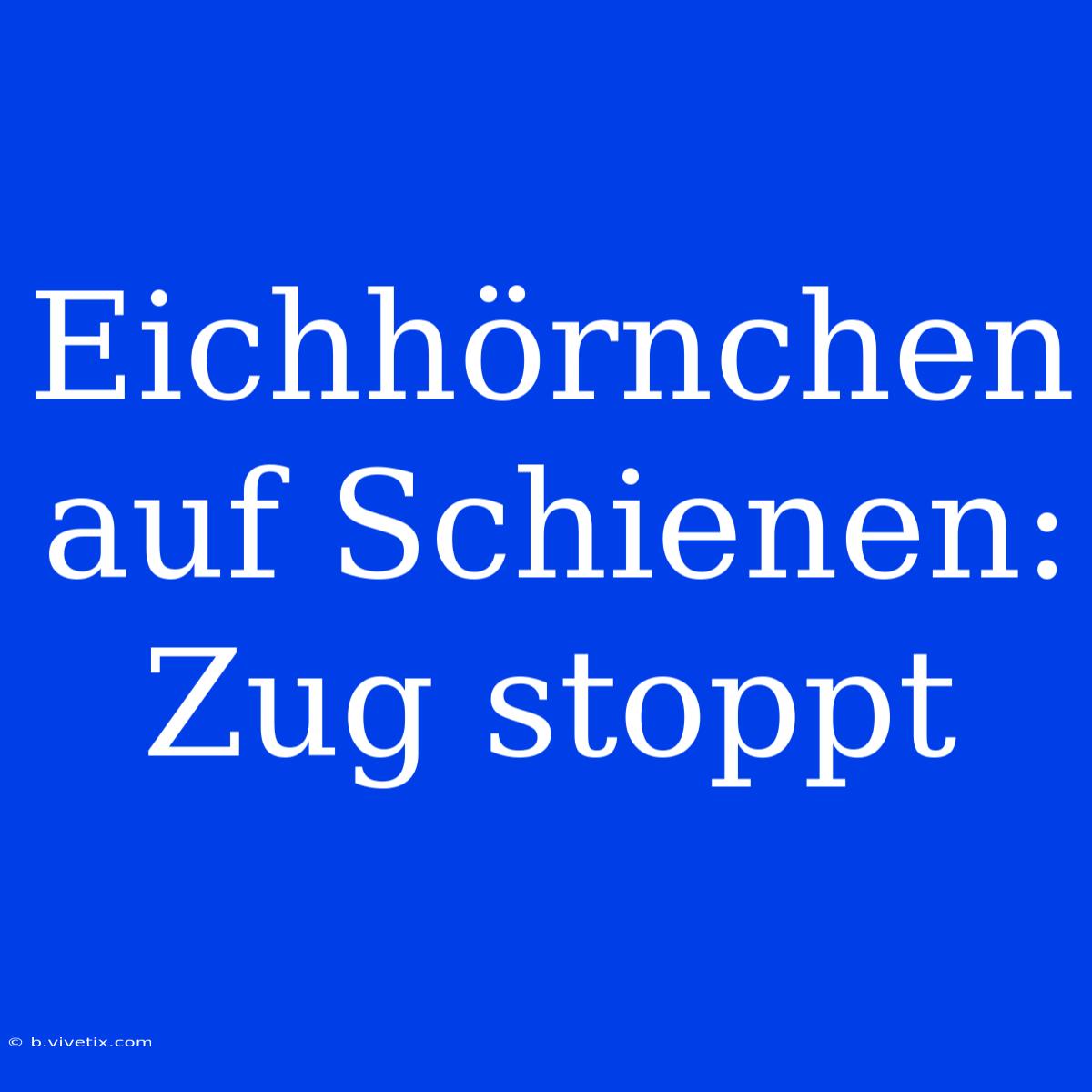 Eichhörnchen Auf Schienen: Zug Stoppt