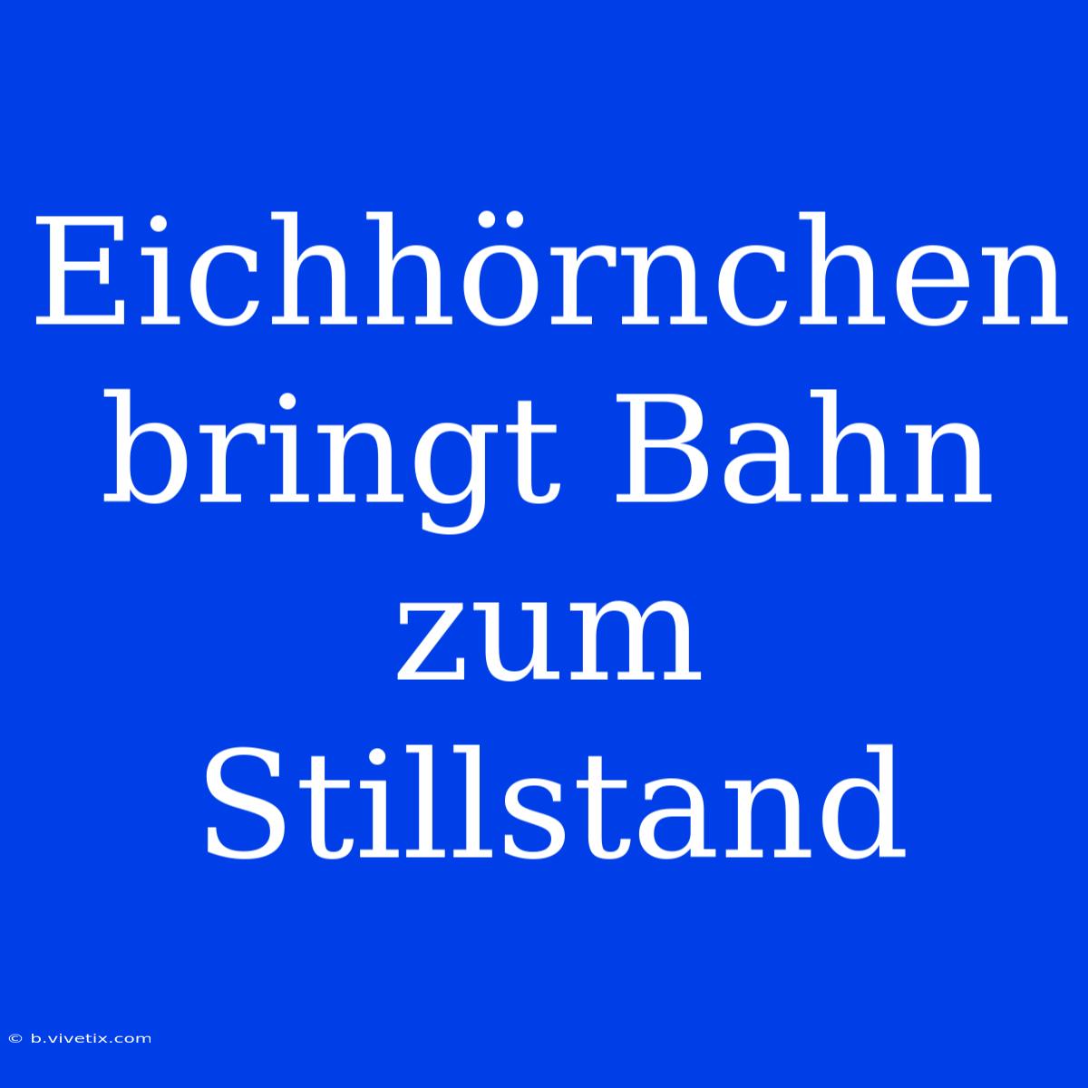 Eichhörnchen Bringt Bahn Zum Stillstand