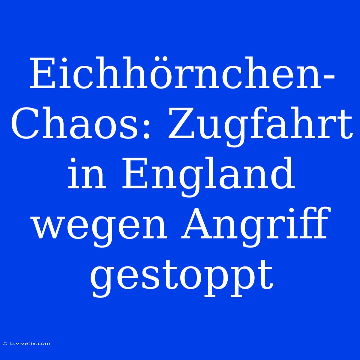 Eichhörnchen-Chaos: Zugfahrt In England Wegen Angriff Gestoppt 