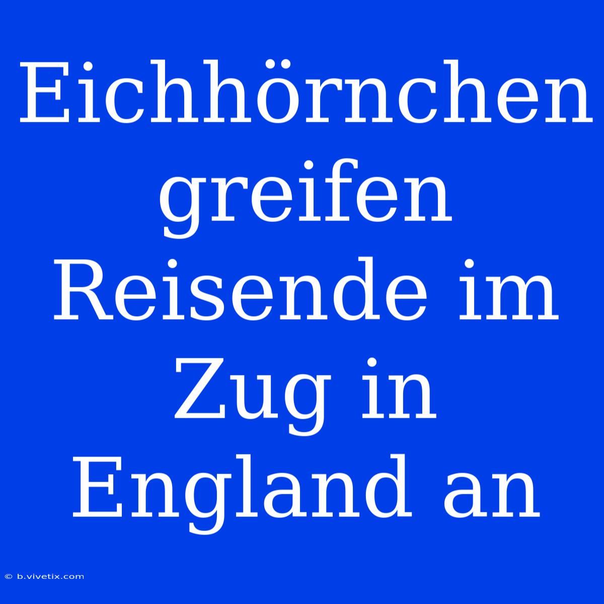 Eichhörnchen Greifen Reisende Im Zug In England An