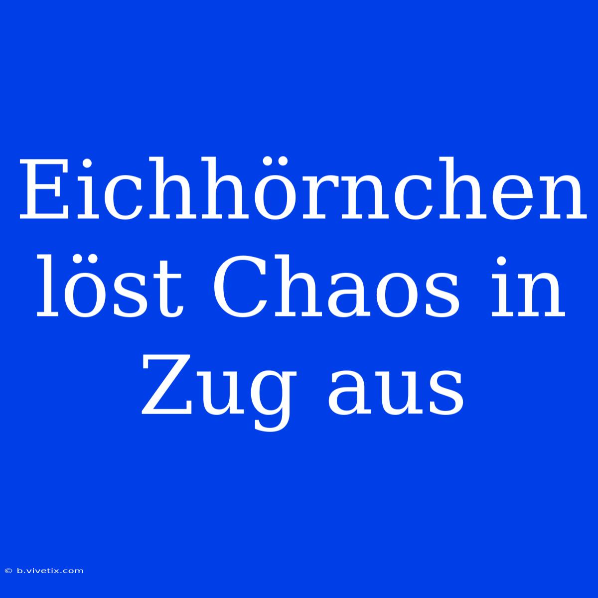 Eichhörnchen Löst Chaos In Zug Aus