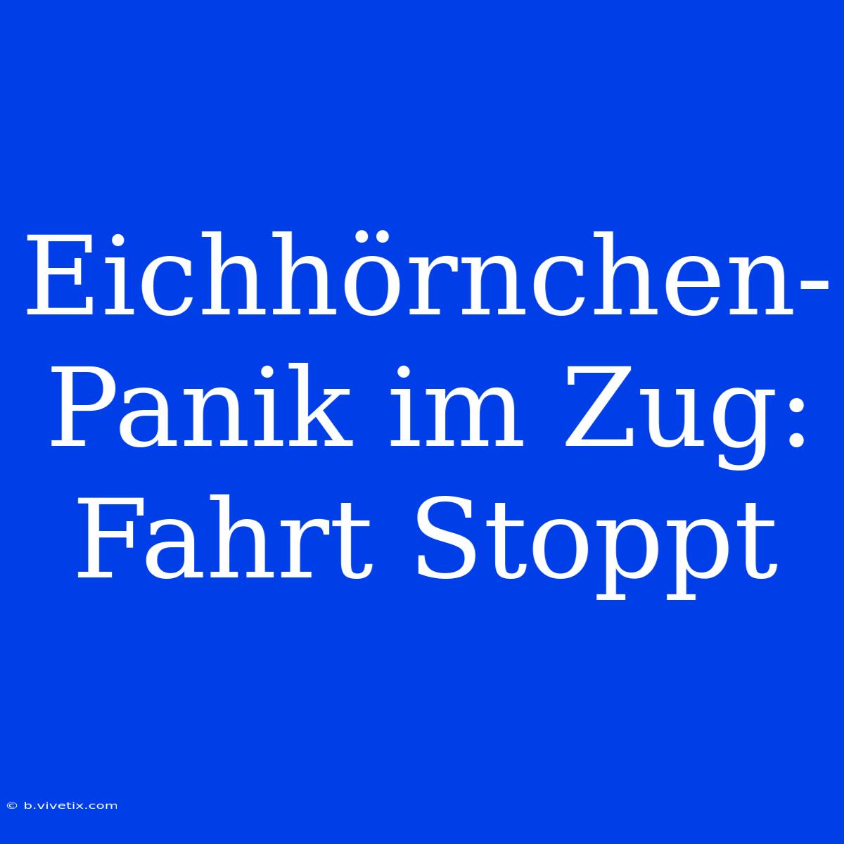 Eichhörnchen-Panik Im Zug: Fahrt Stoppt 