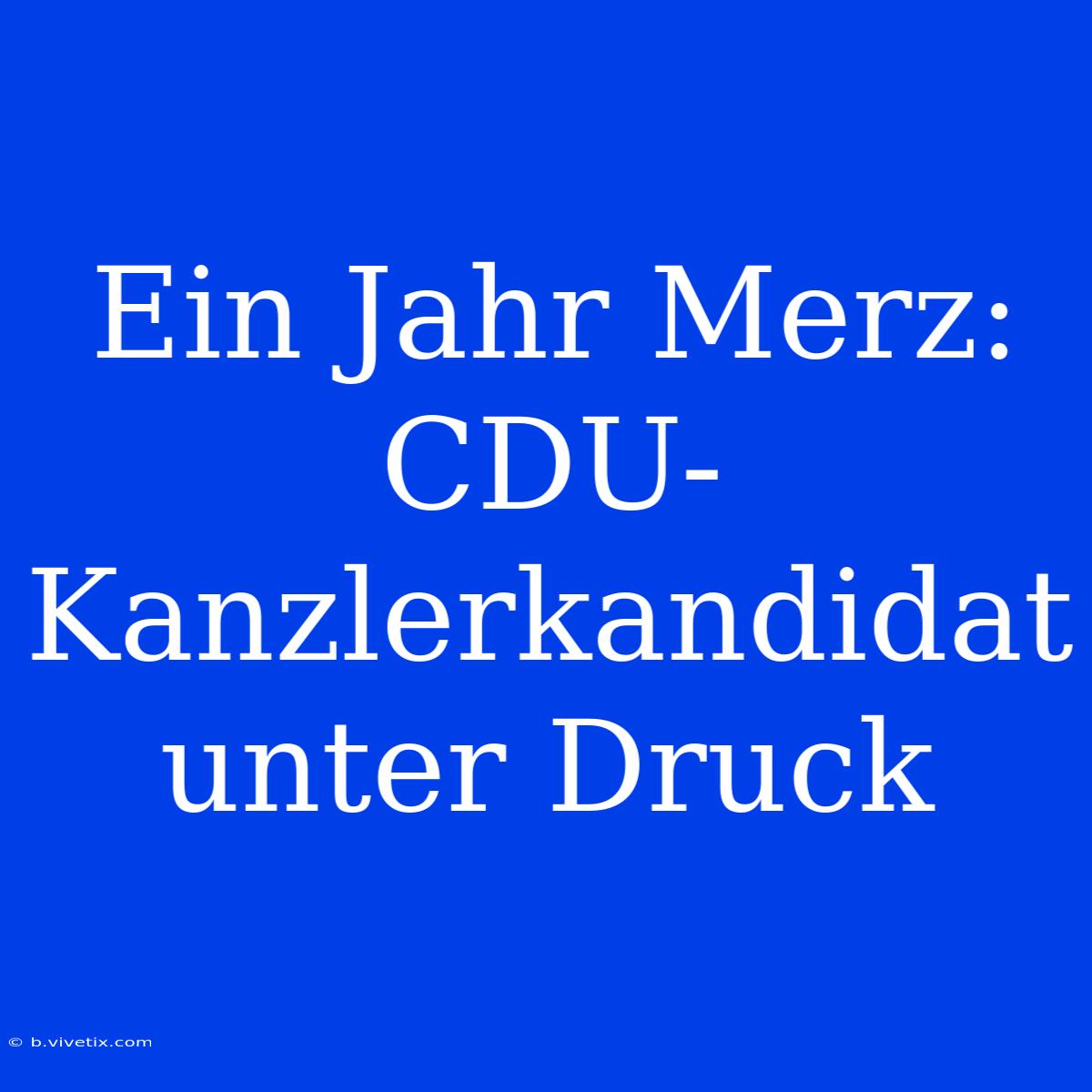 Ein Jahr Merz: CDU-Kanzlerkandidat Unter Druck