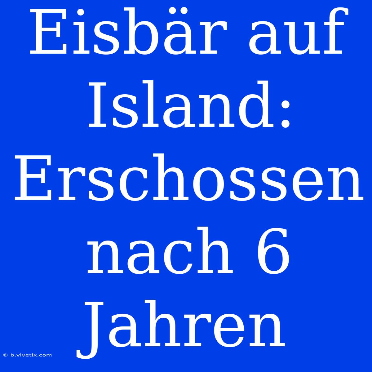 Eisbär Auf Island: Erschossen Nach 6 Jahren