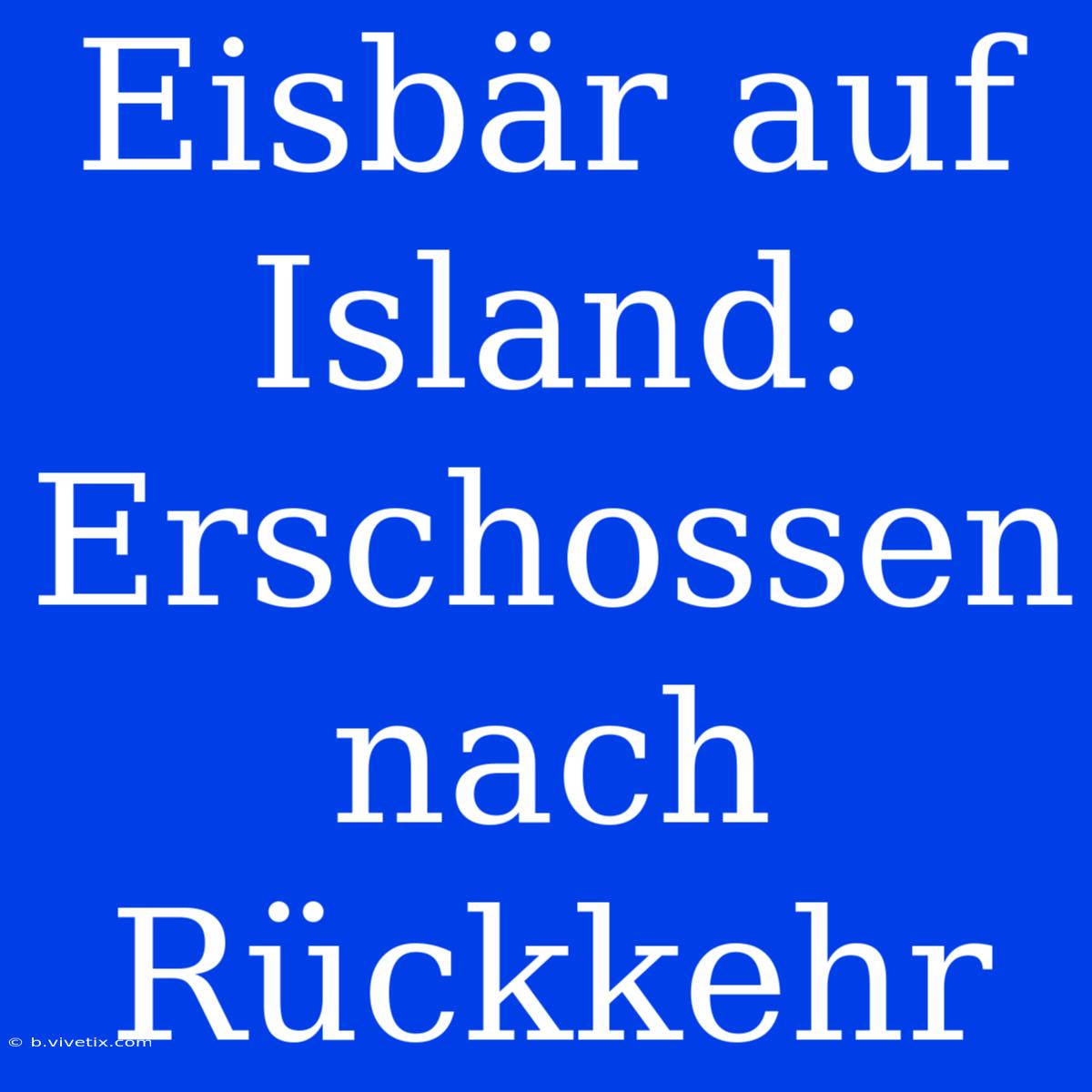 Eisbär Auf Island: Erschossen Nach Rückkehr