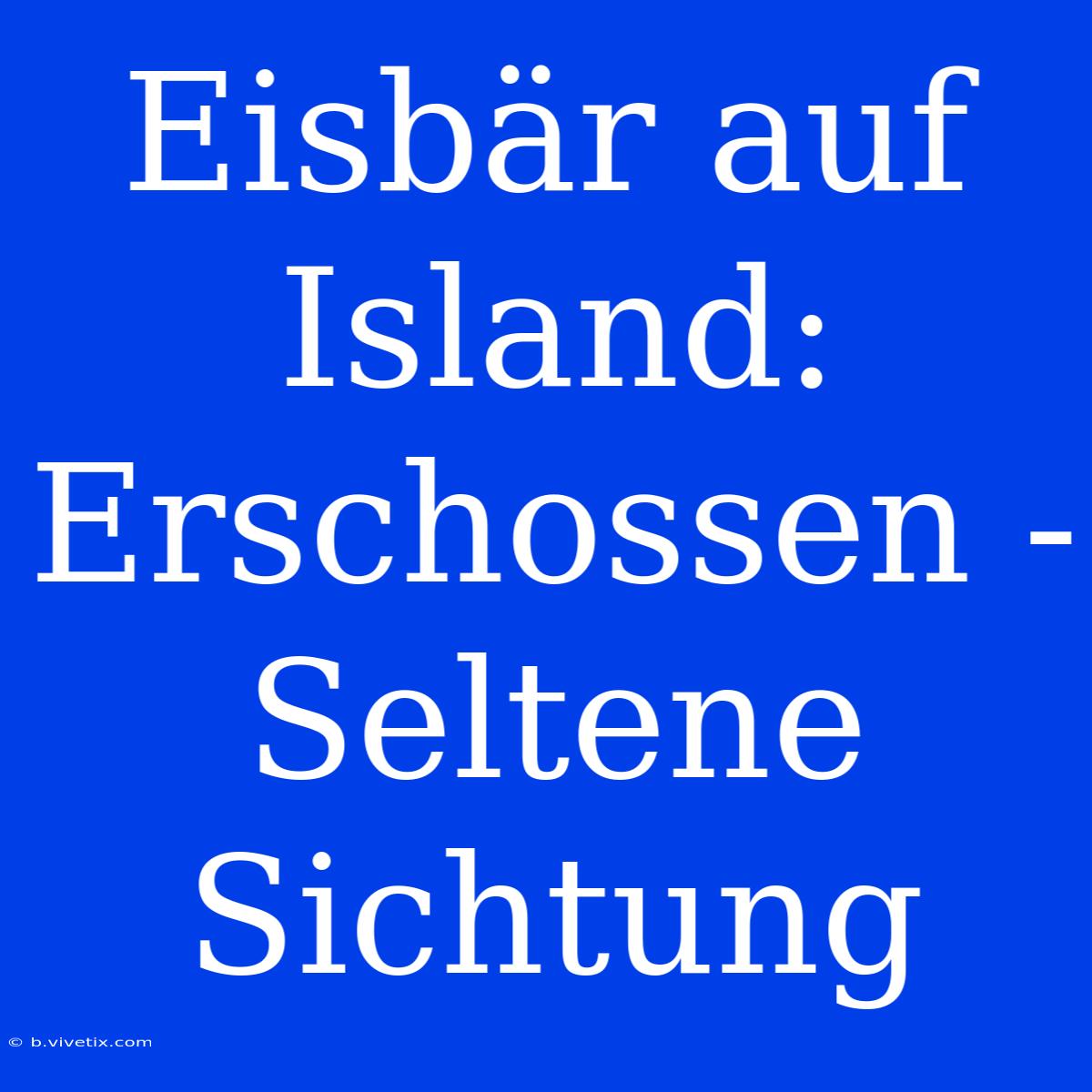 Eisbär Auf Island: Erschossen - Seltene Sichtung