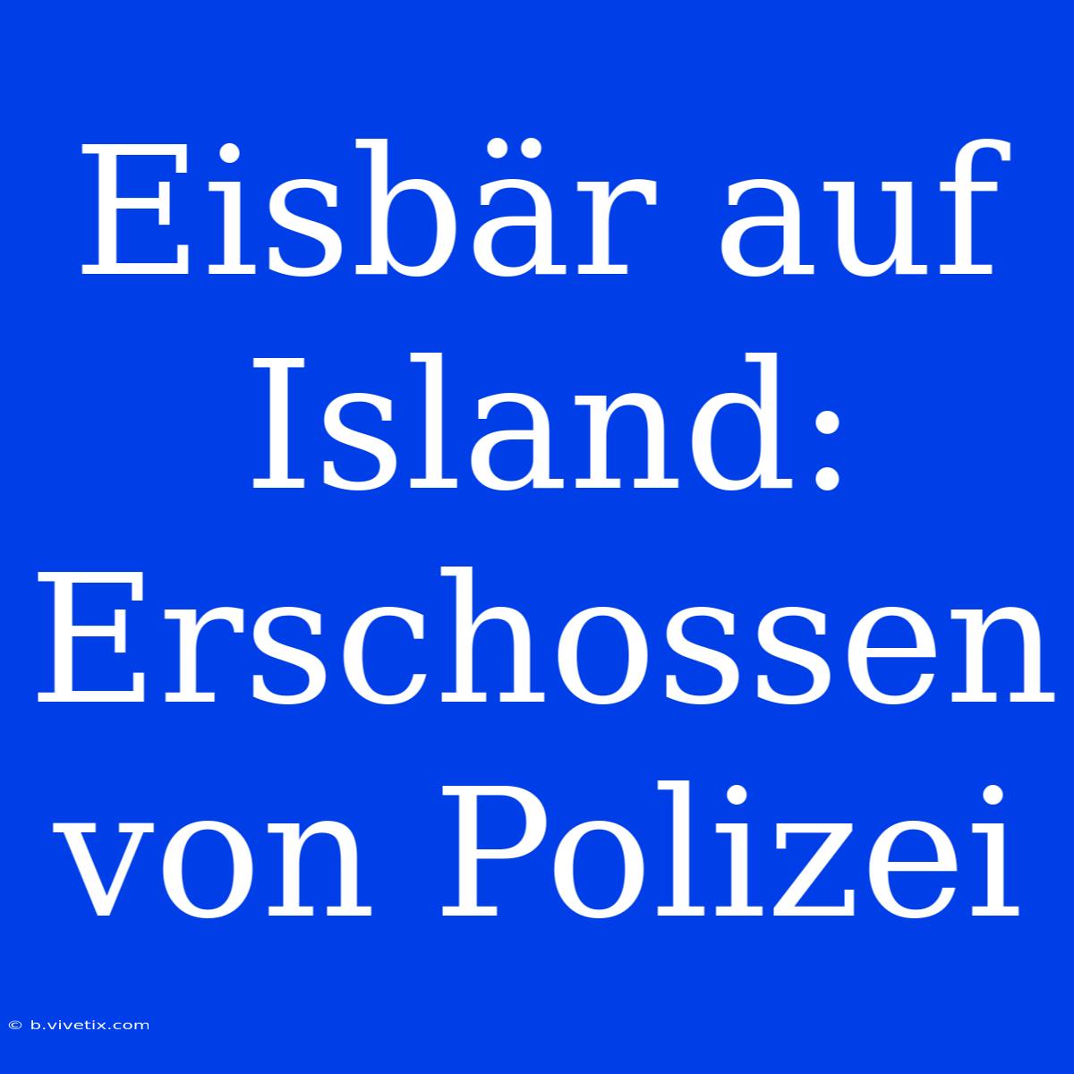 Eisbär Auf Island: Erschossen Von Polizei