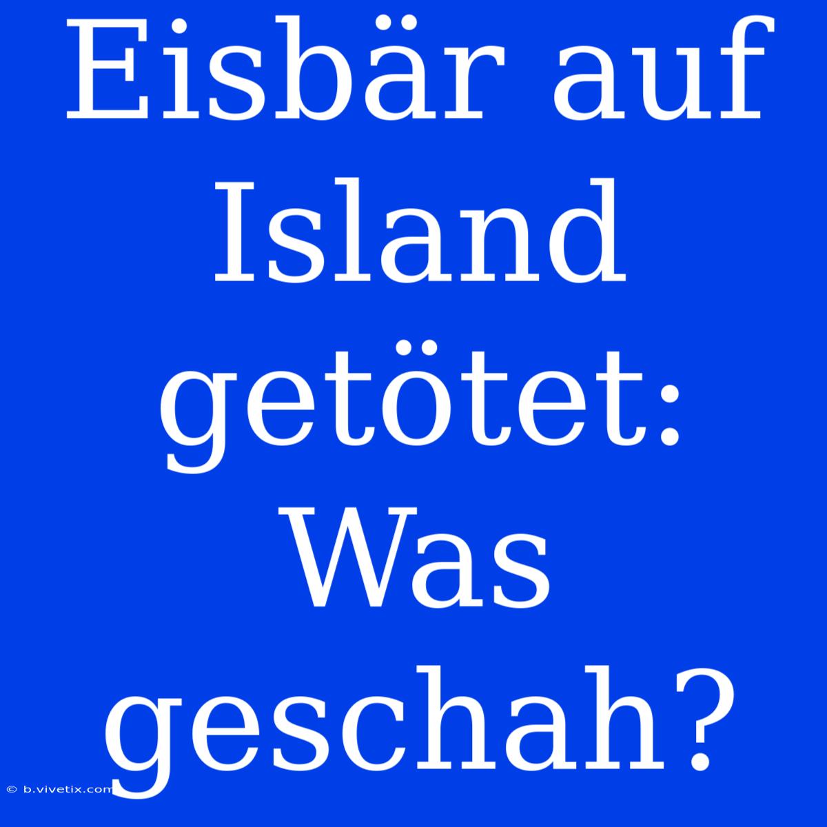 Eisbär Auf Island Getötet: Was Geschah?