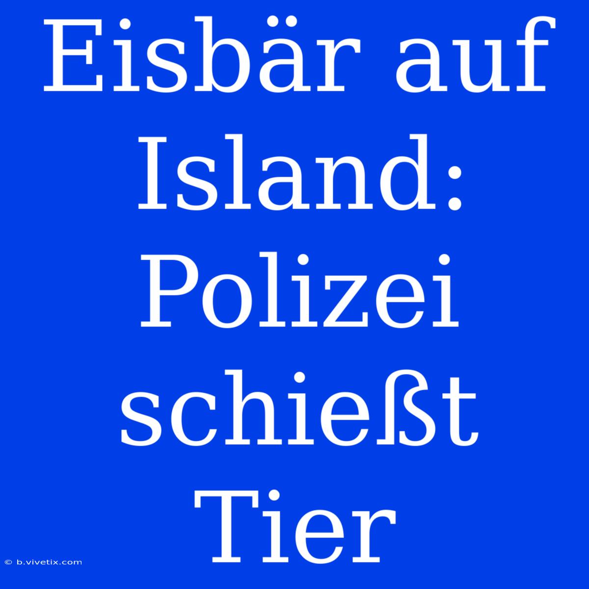 Eisbär Auf Island: Polizei Schießt Tier