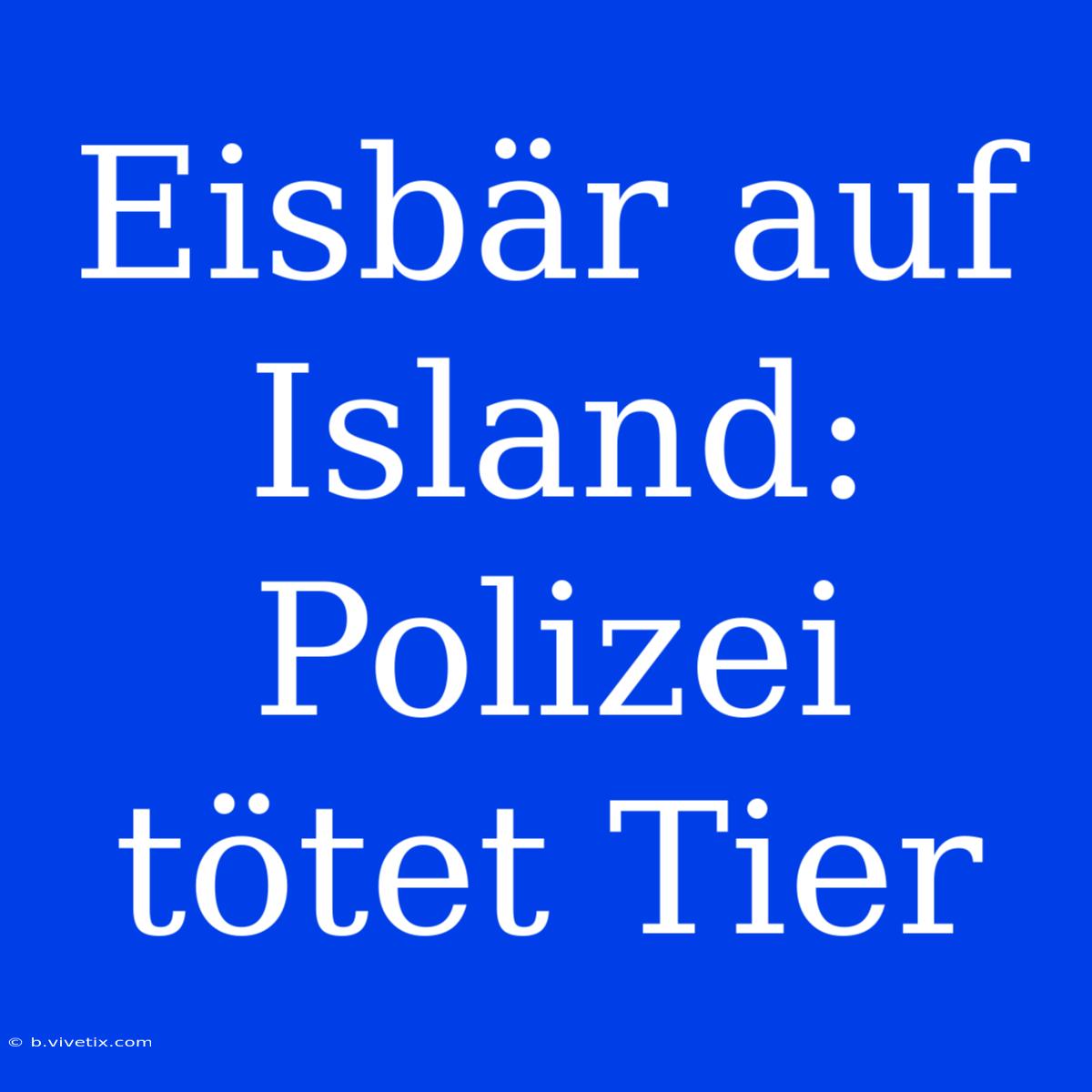 Eisbär Auf Island: Polizei Tötet Tier