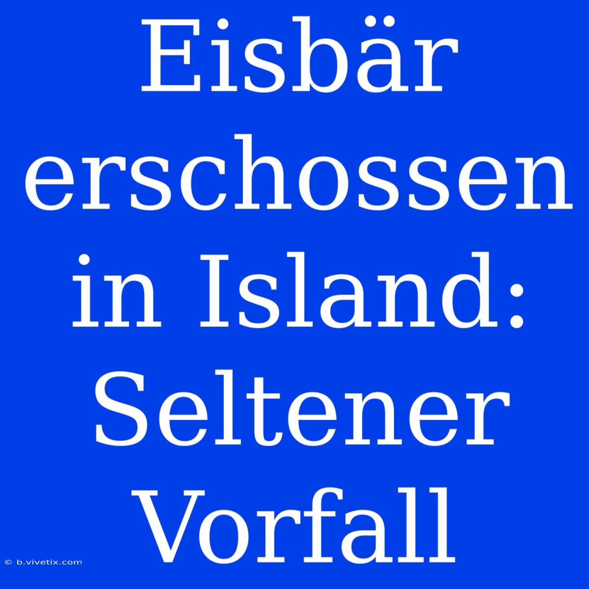 Eisbär Erschossen In Island: Seltener Vorfall