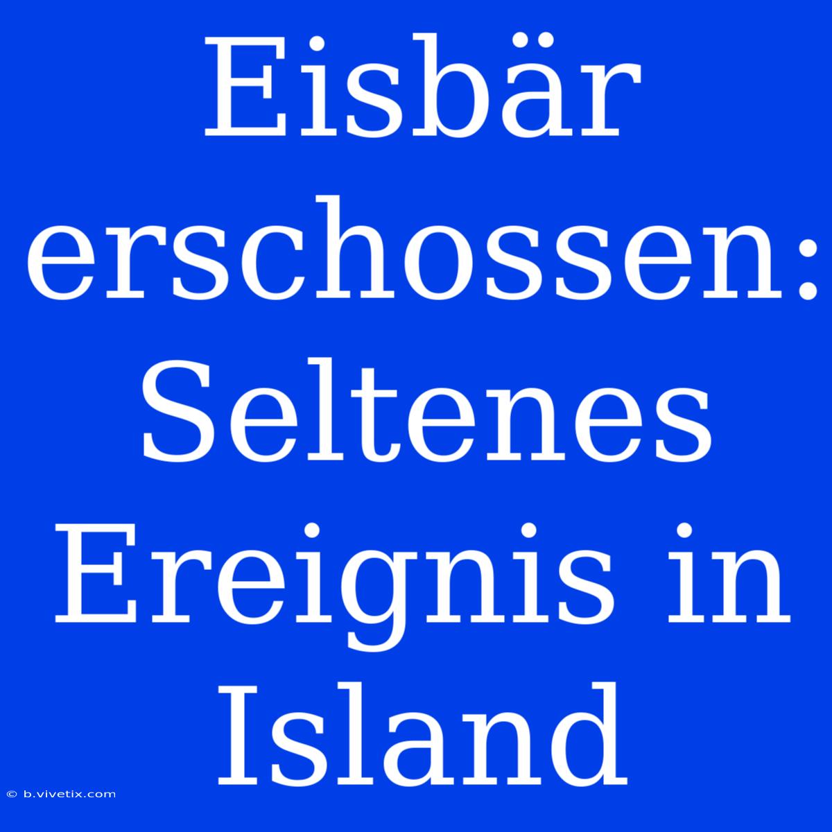 Eisbär Erschossen: Seltenes Ereignis In Island