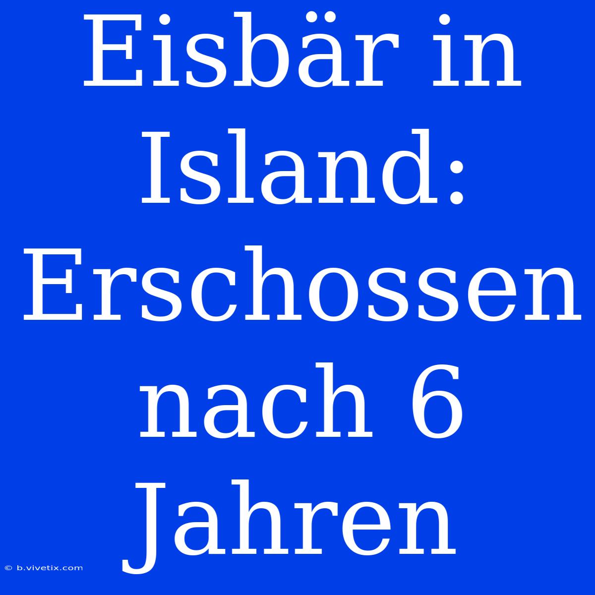 Eisbär In Island: Erschossen Nach 6 Jahren