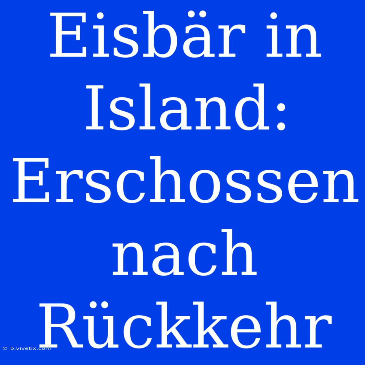 Eisbär In Island: Erschossen Nach Rückkehr 