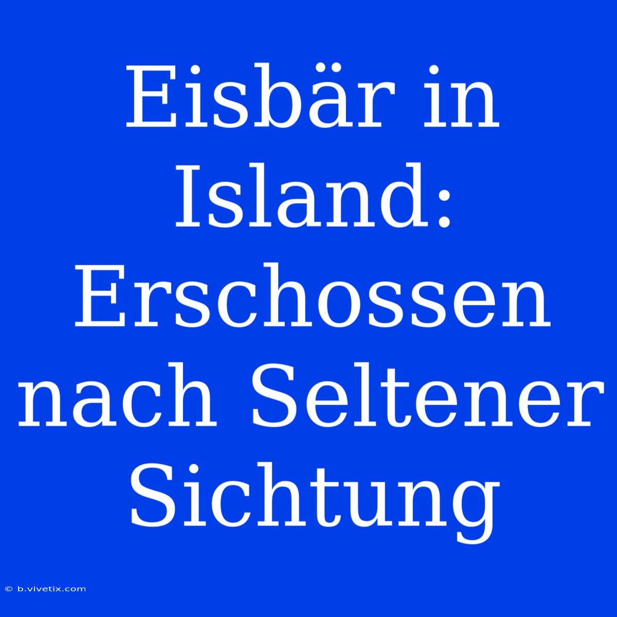 Eisbär In Island: Erschossen Nach Seltener Sichtung