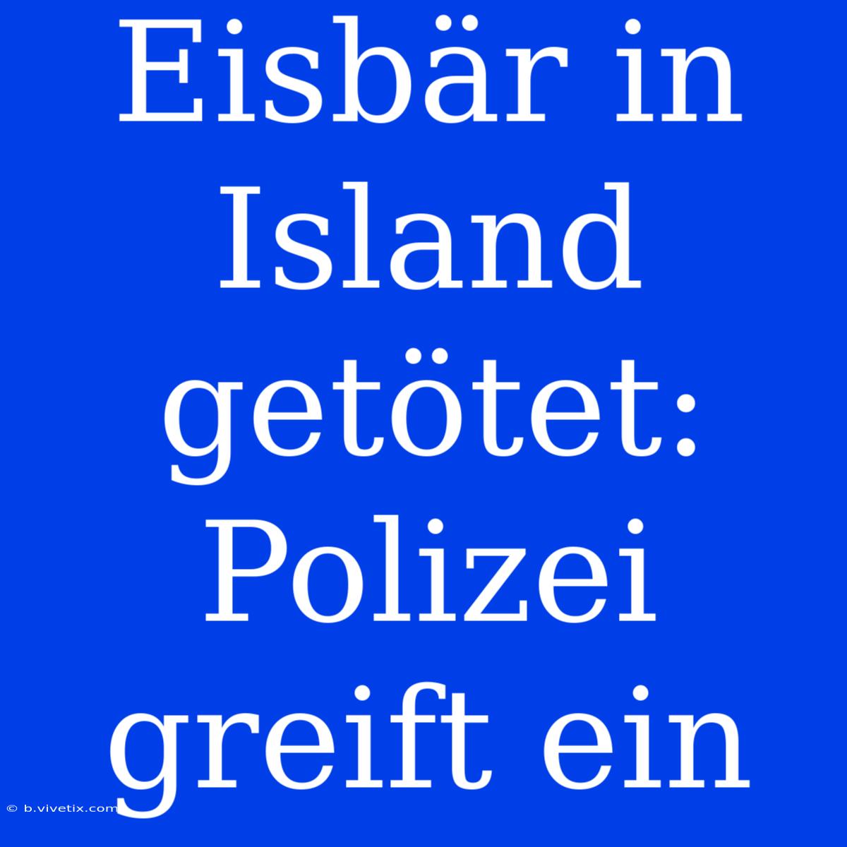 Eisbär In Island Getötet: Polizei Greift Ein