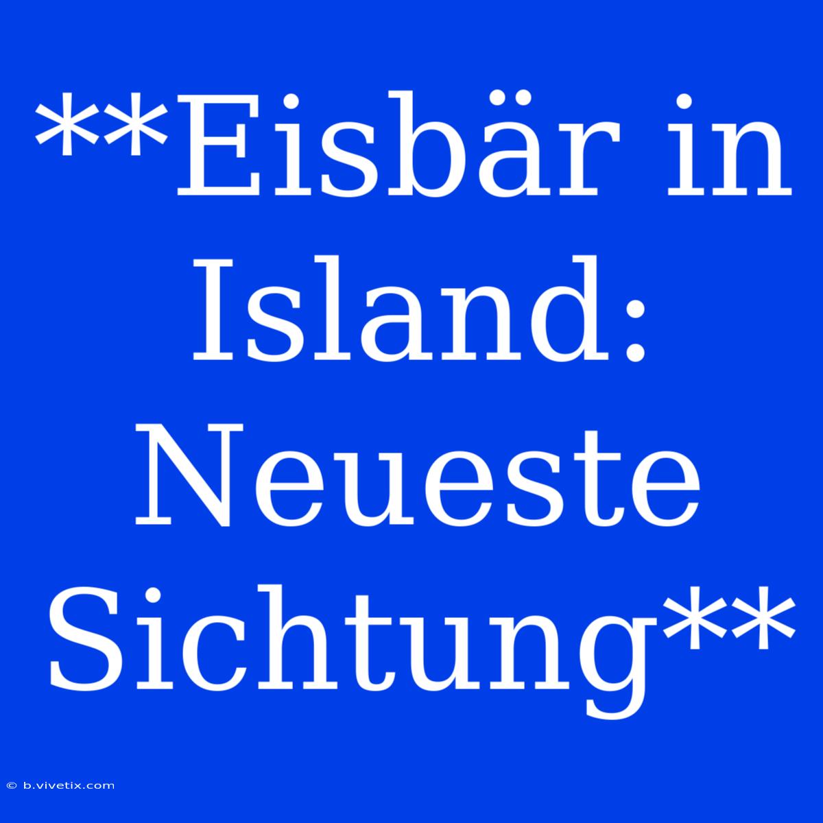 **Eisbär In Island: Neueste Sichtung** 