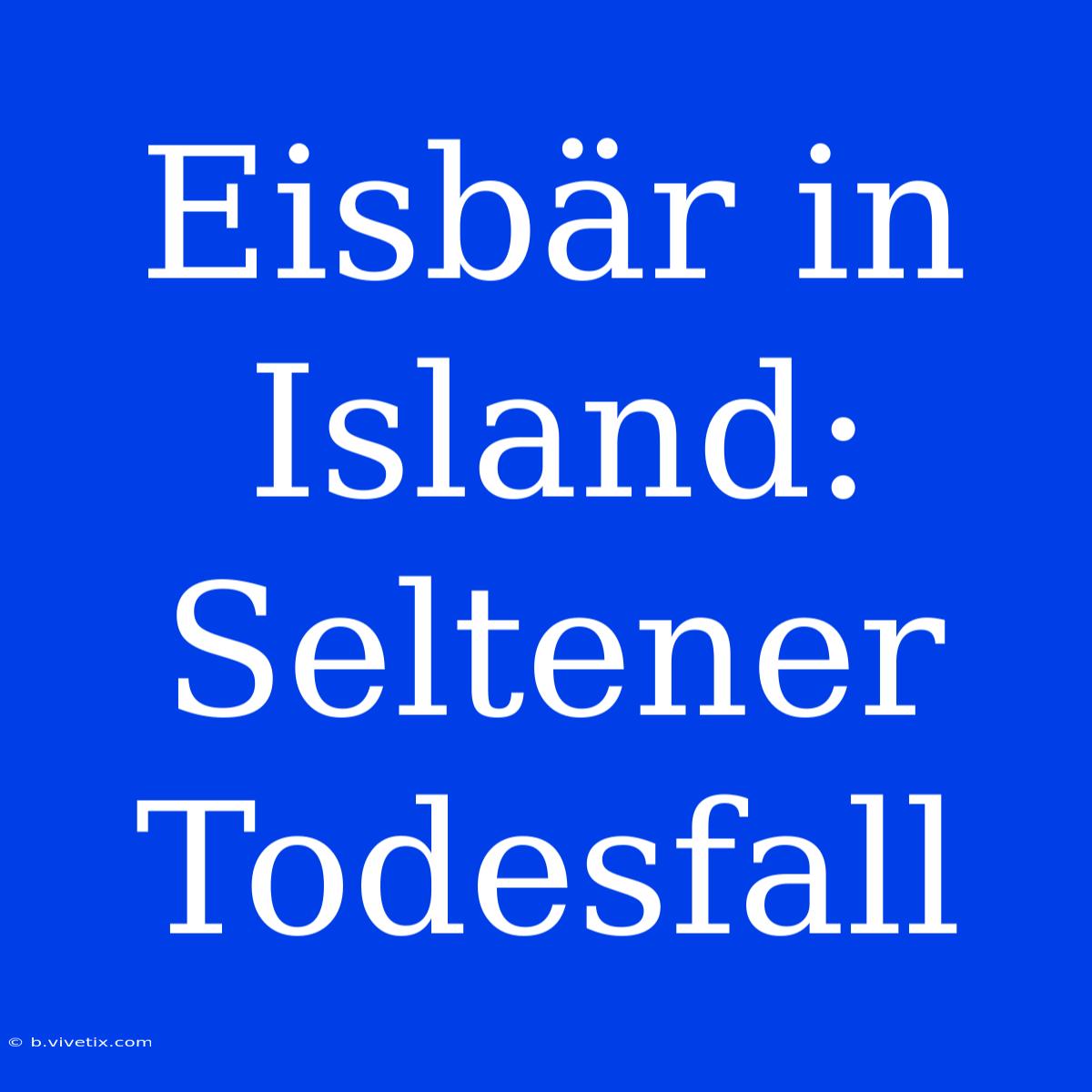 Eisbär In Island: Seltener Todesfall