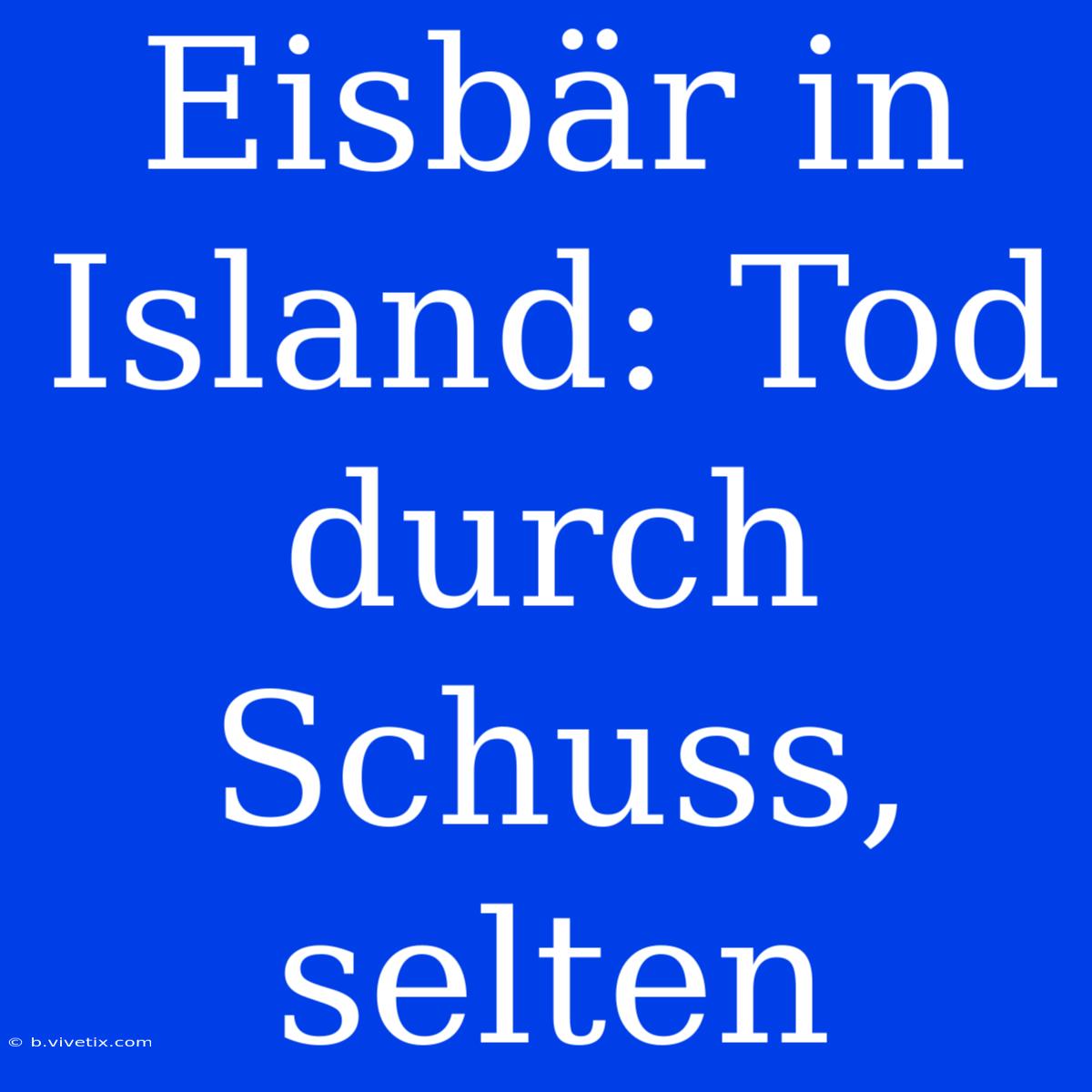 Eisbär In Island: Tod Durch Schuss, Selten 