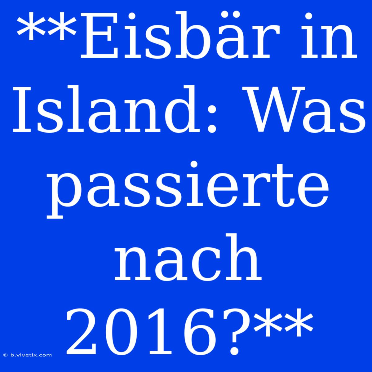 **Eisbär In Island: Was Passierte Nach 2016?**