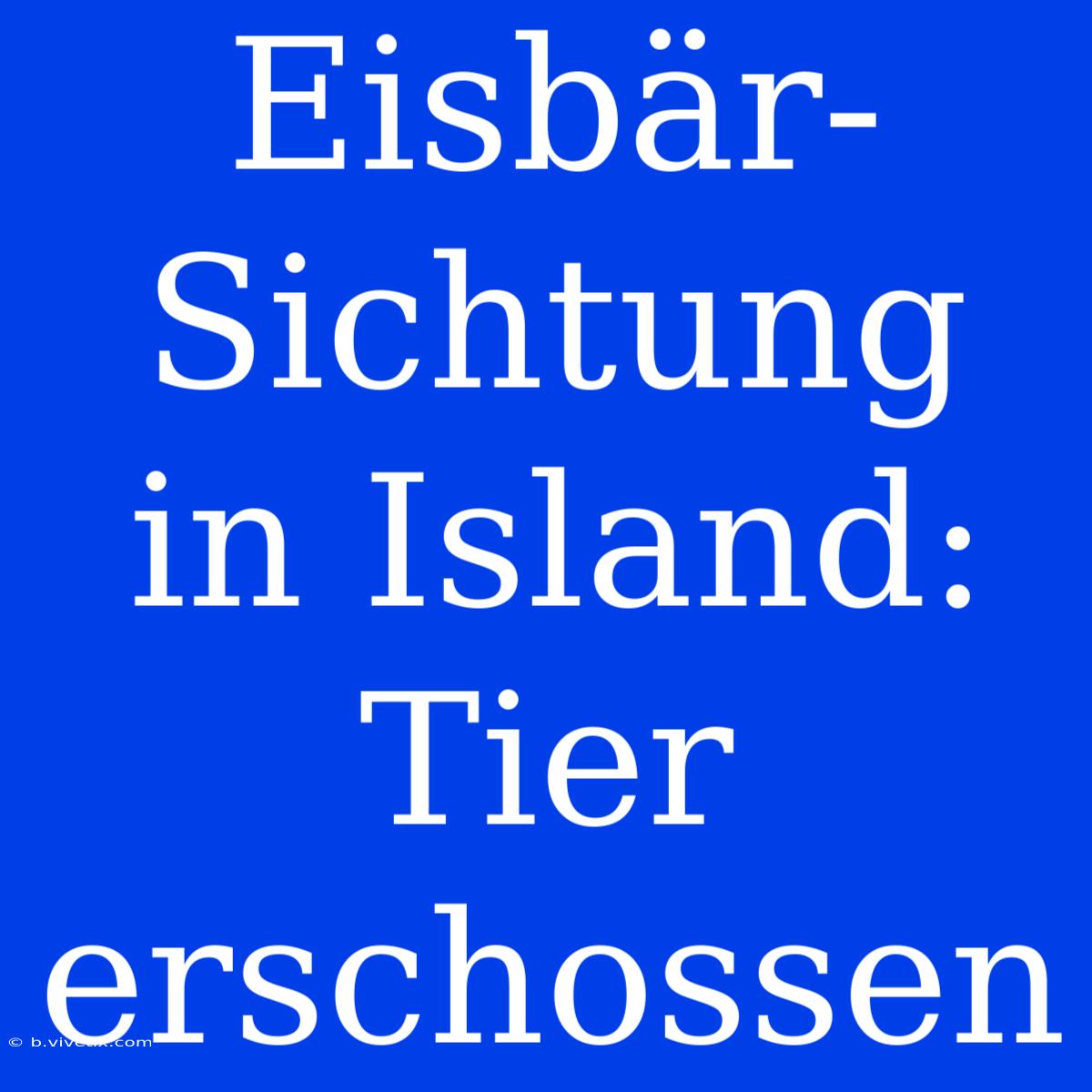 Eisbär-Sichtung In Island: Tier Erschossen