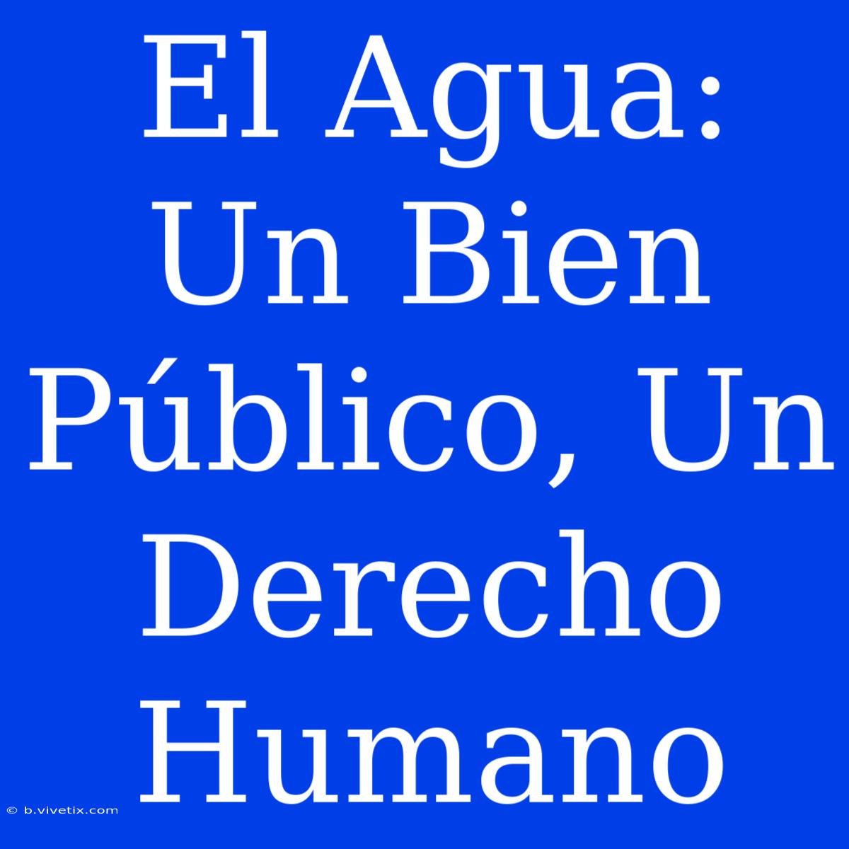 El Agua: Un Bien Público, Un Derecho Humano