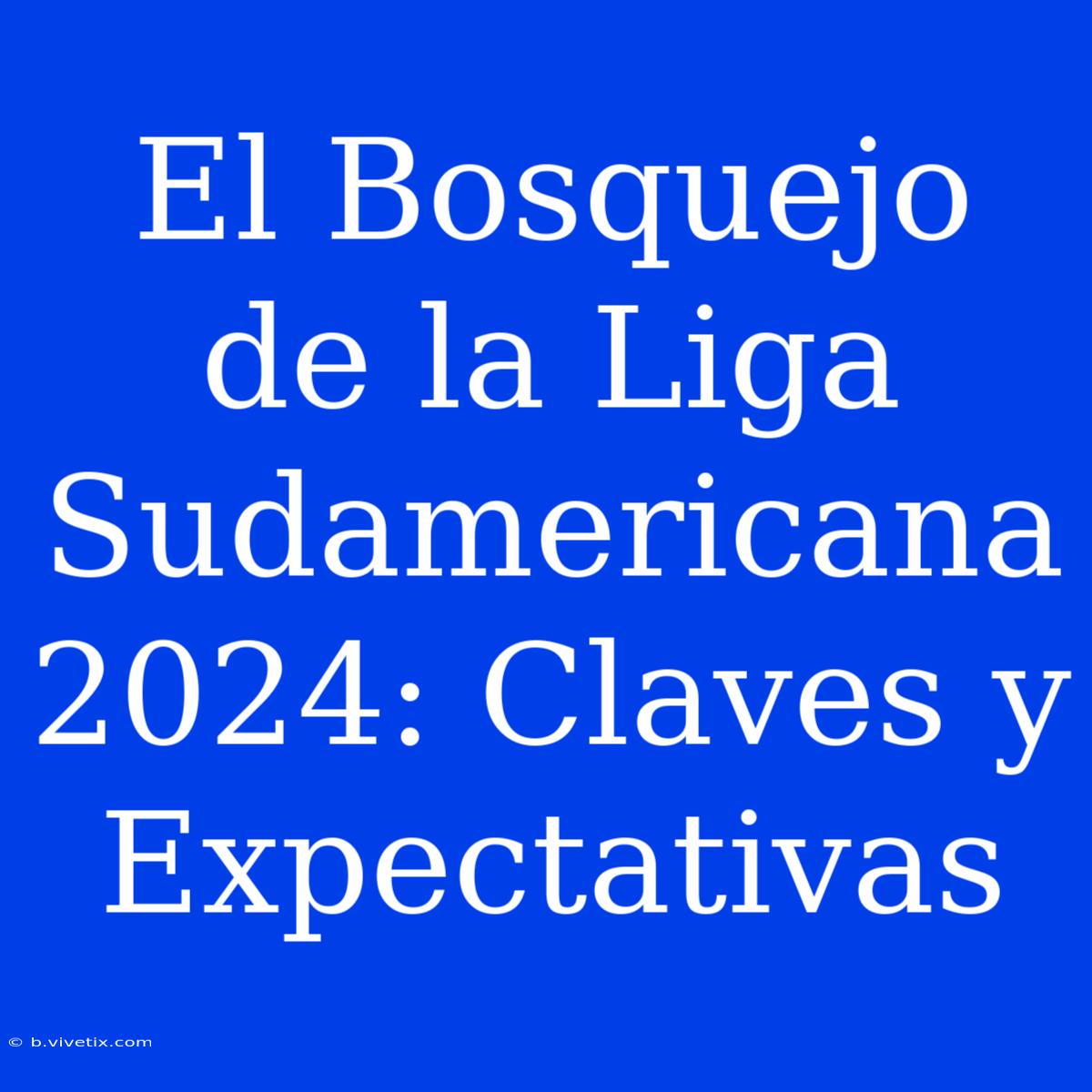 El Bosquejo De La Liga Sudamericana 2024: Claves Y Expectativas 