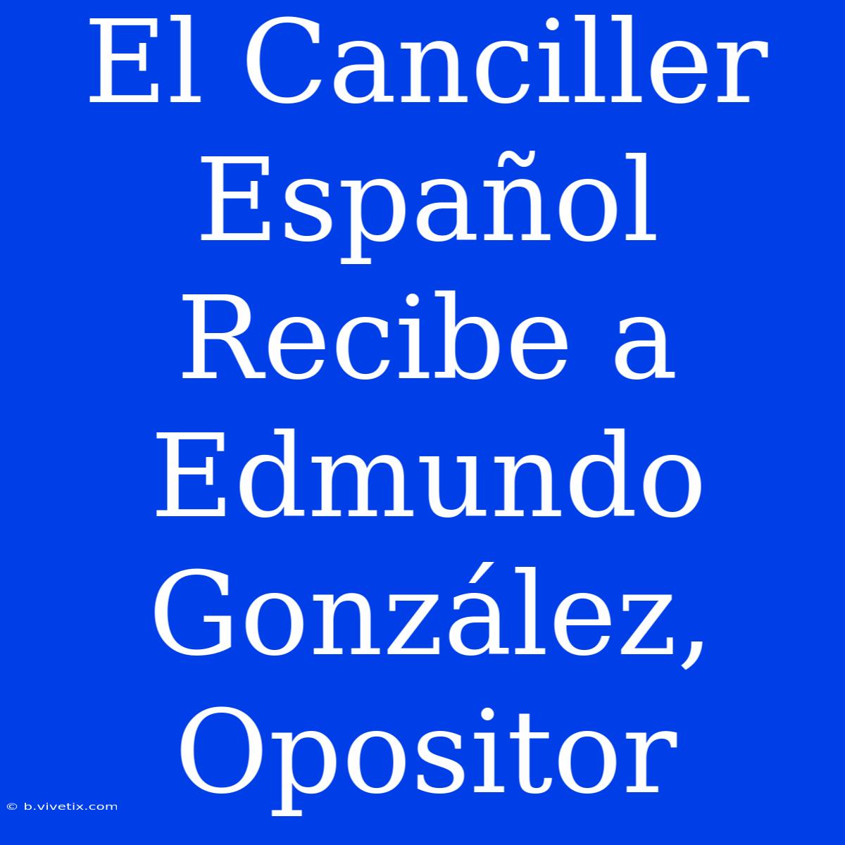 El Canciller Español Recibe A Edmundo González, Opositor