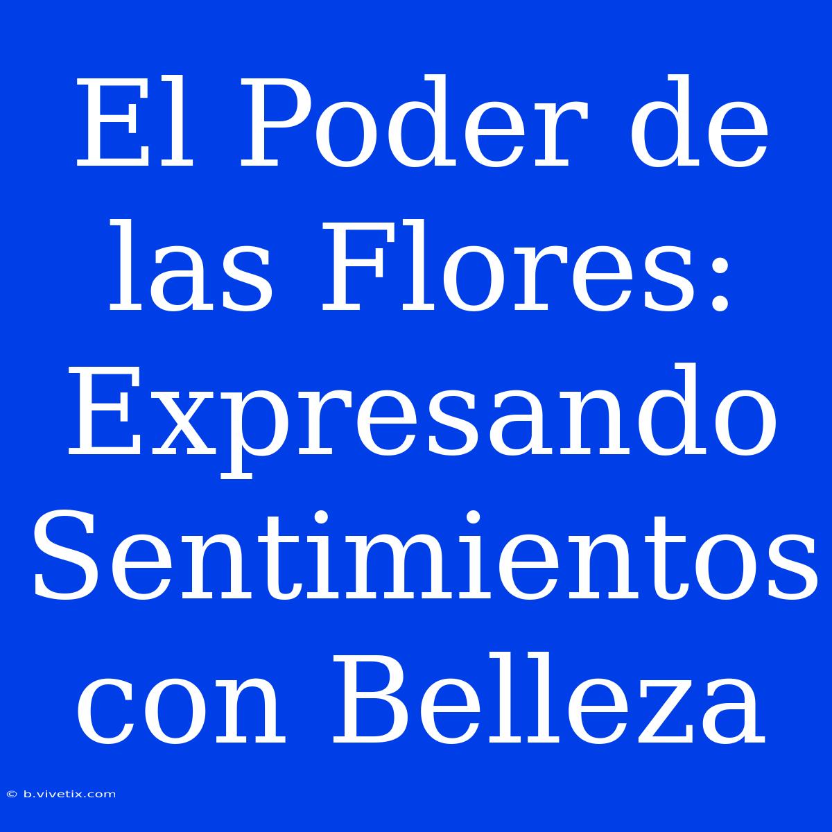 El Poder De Las Flores: Expresando Sentimientos Con Belleza