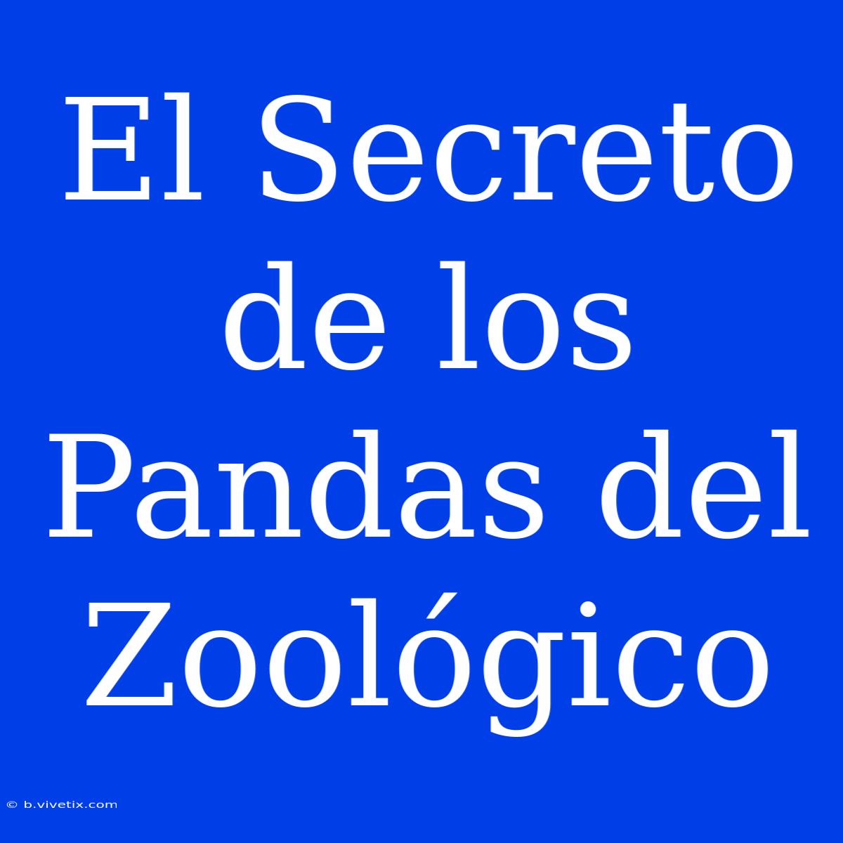 El Secreto De Los Pandas Del Zoológico