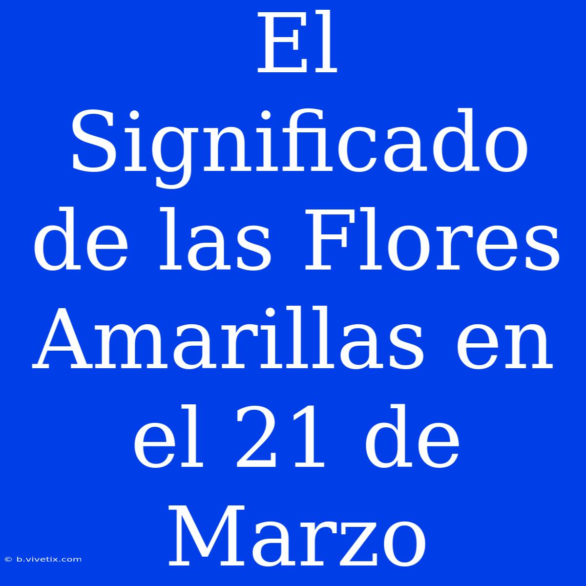 El Significado De Las Flores Amarillas En El 21 De Marzo