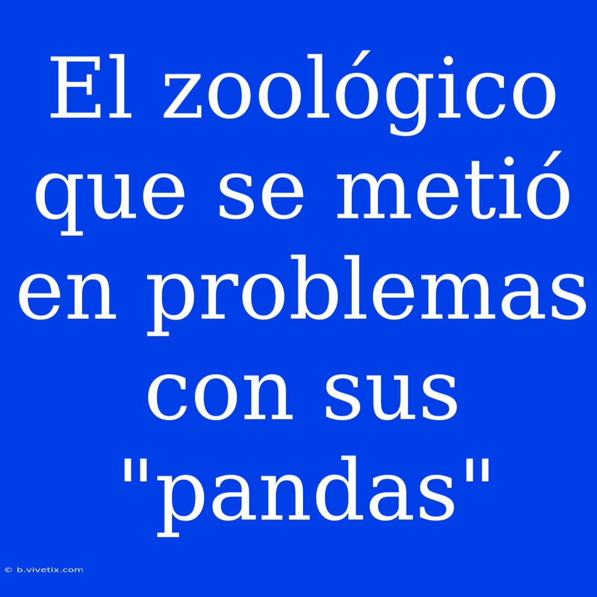 El Zoológico Que Se Metió En Problemas Con Sus 