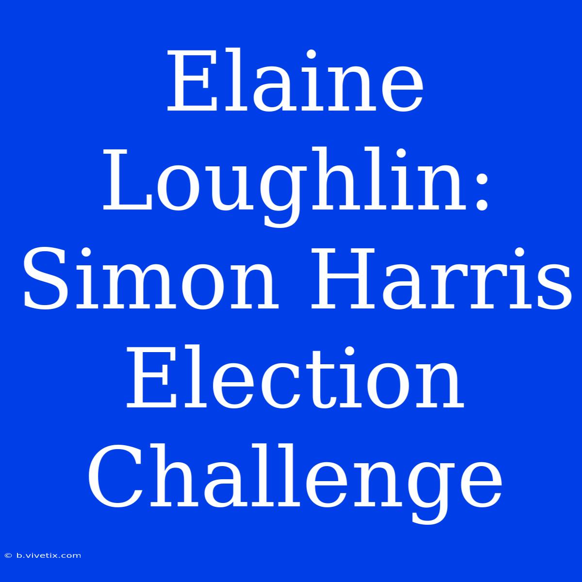 Elaine Loughlin: Simon Harris Election Challenge