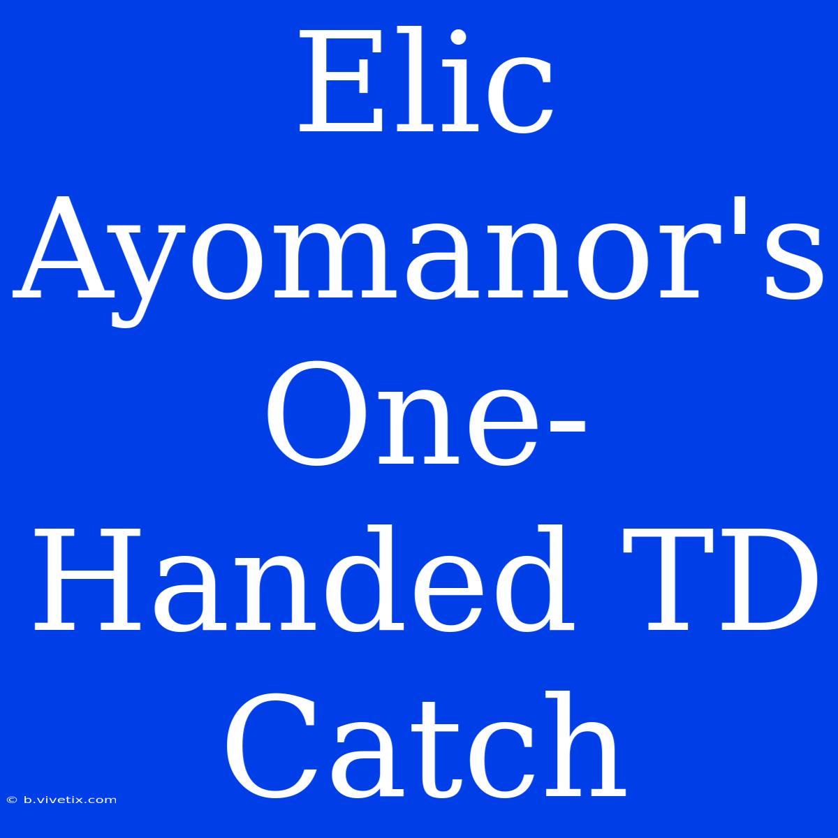 Elic Ayomanor's One-Handed TD Catch