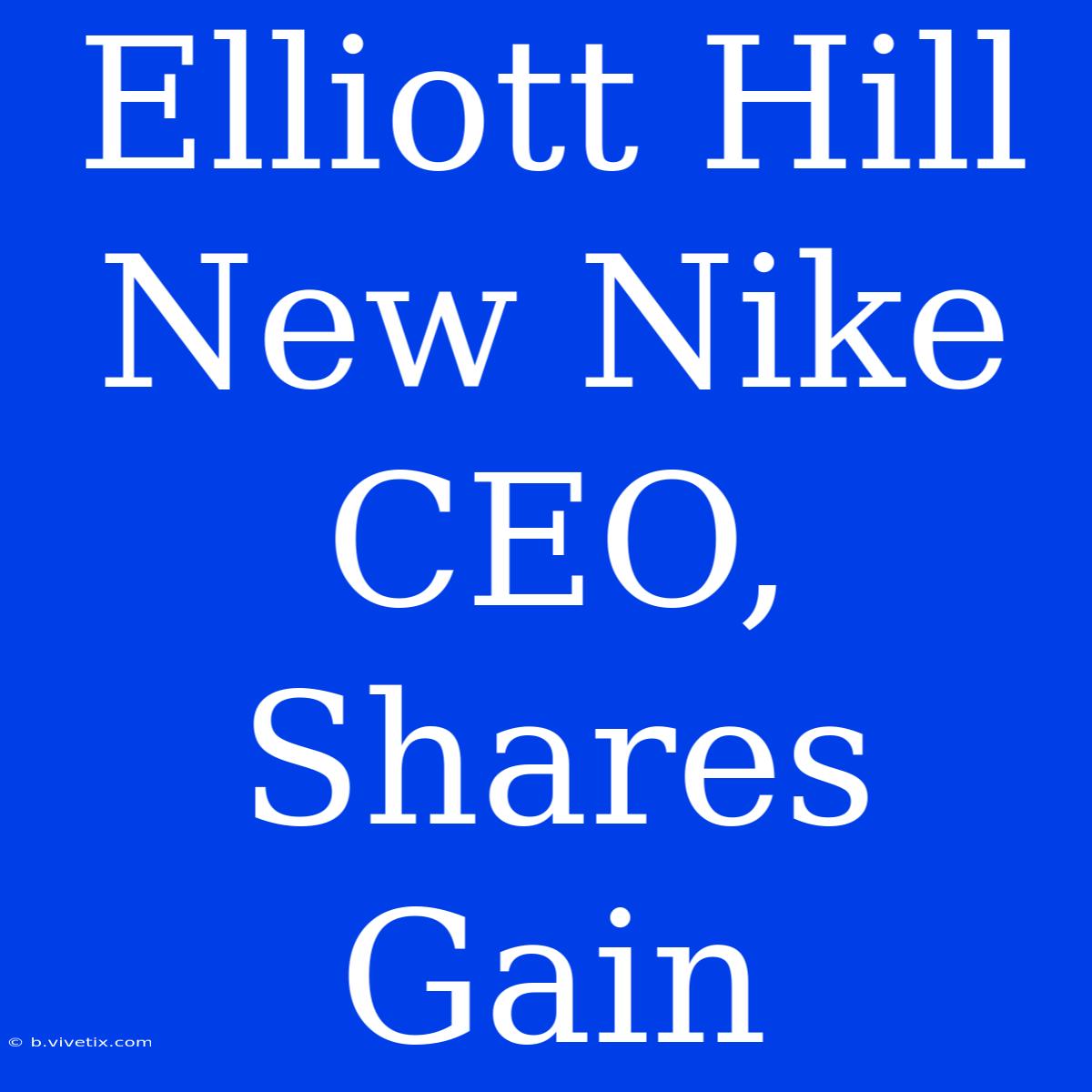 Elliott Hill New Nike CEO, Shares Gain 