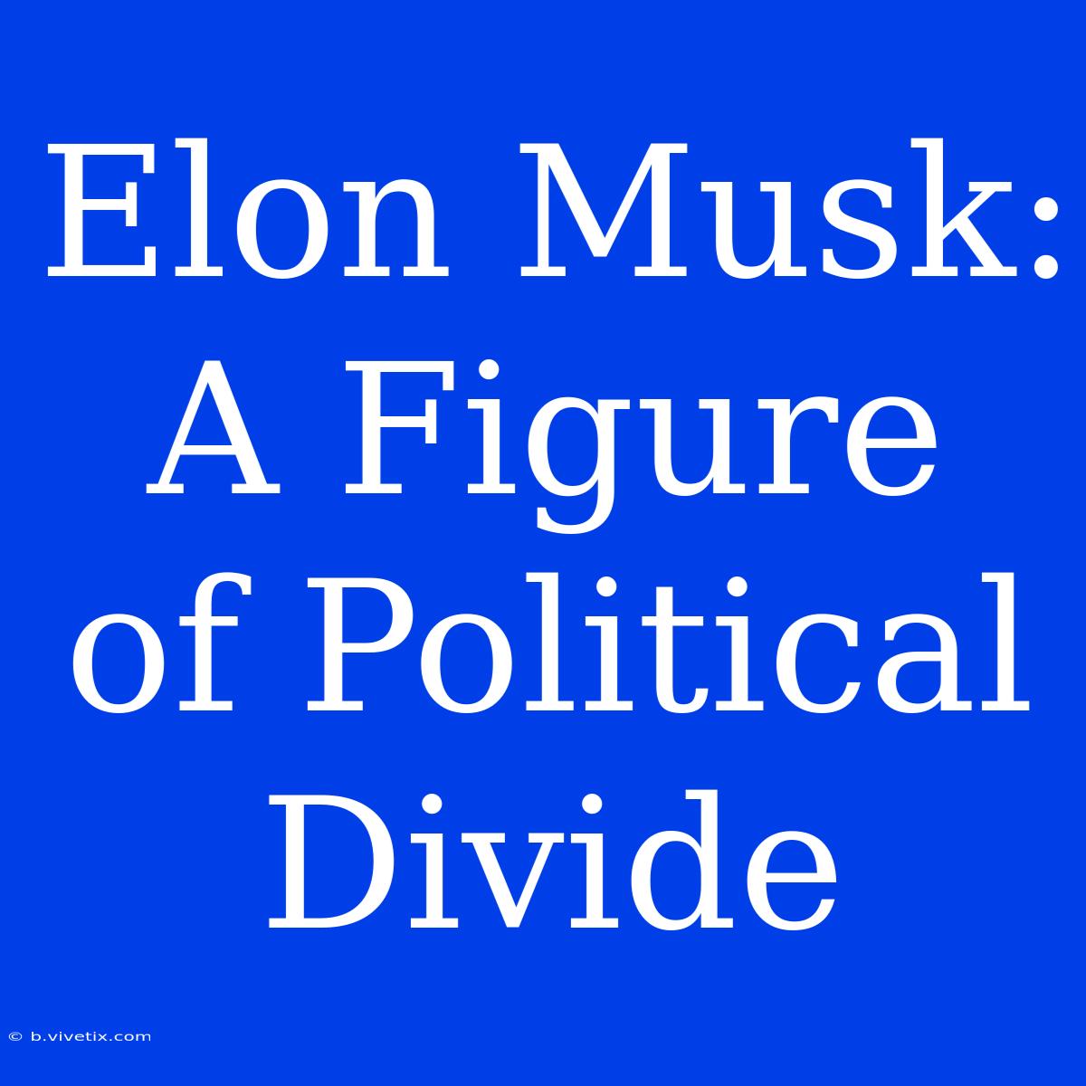 Elon Musk: A Figure Of Political Divide