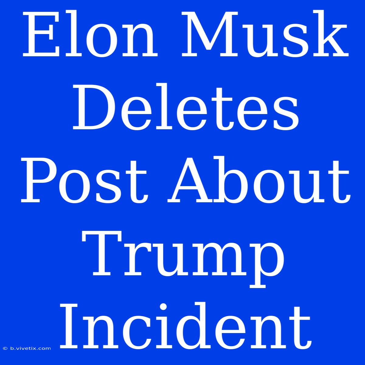 Elon Musk Deletes Post About Trump Incident 