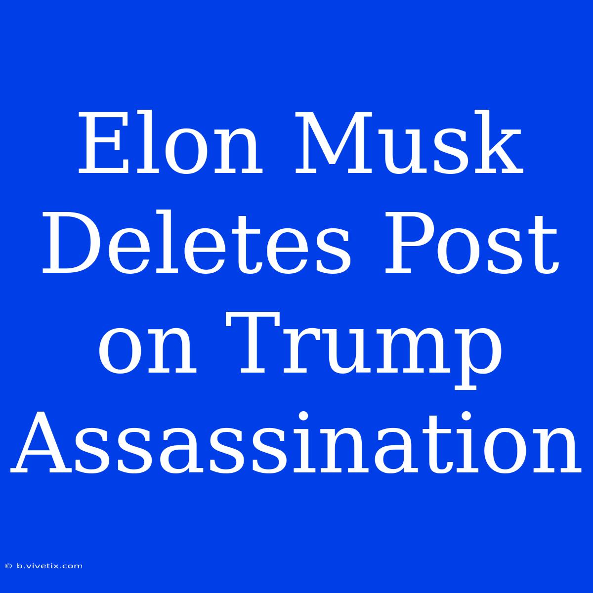 Elon Musk Deletes Post On Trump Assassination