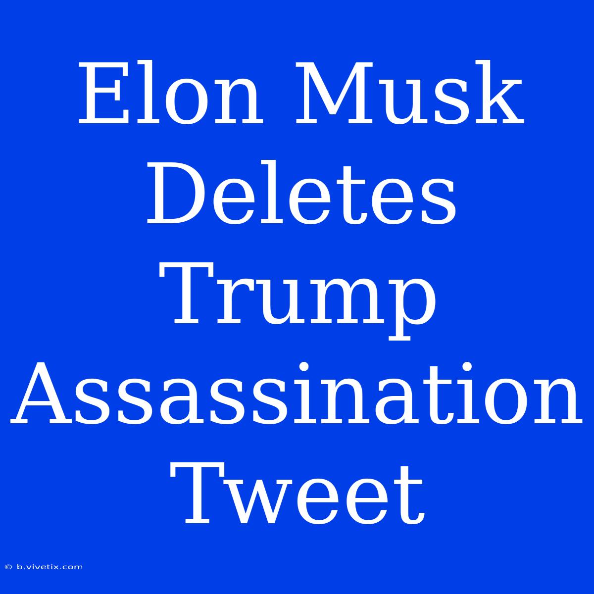 Elon Musk Deletes Trump Assassination Tweet