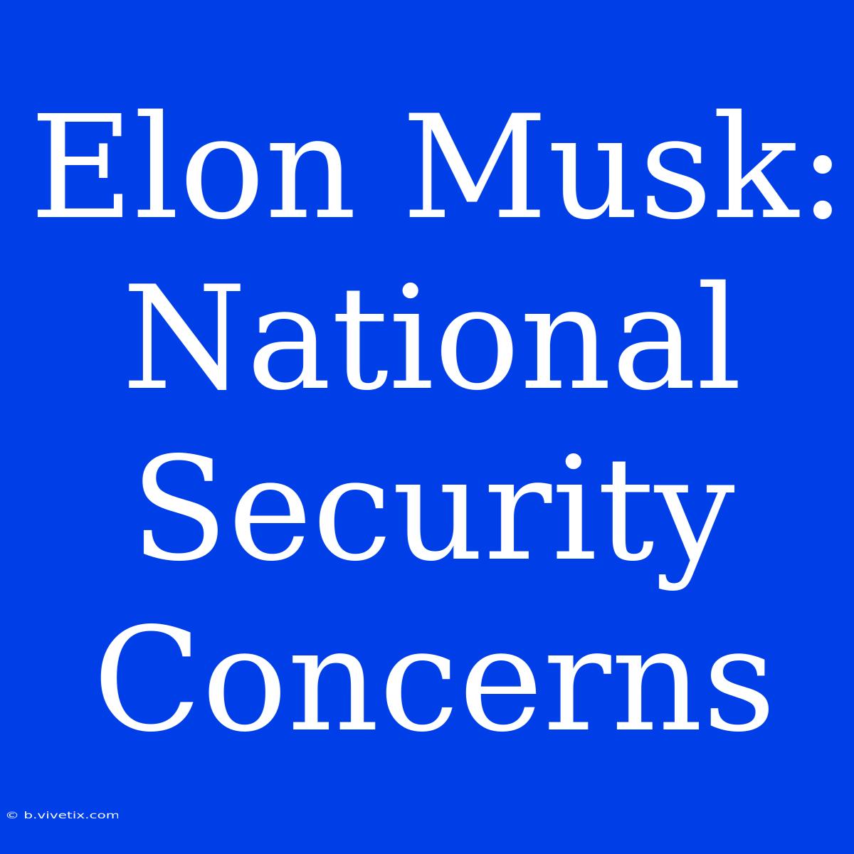 Elon Musk: National Security Concerns