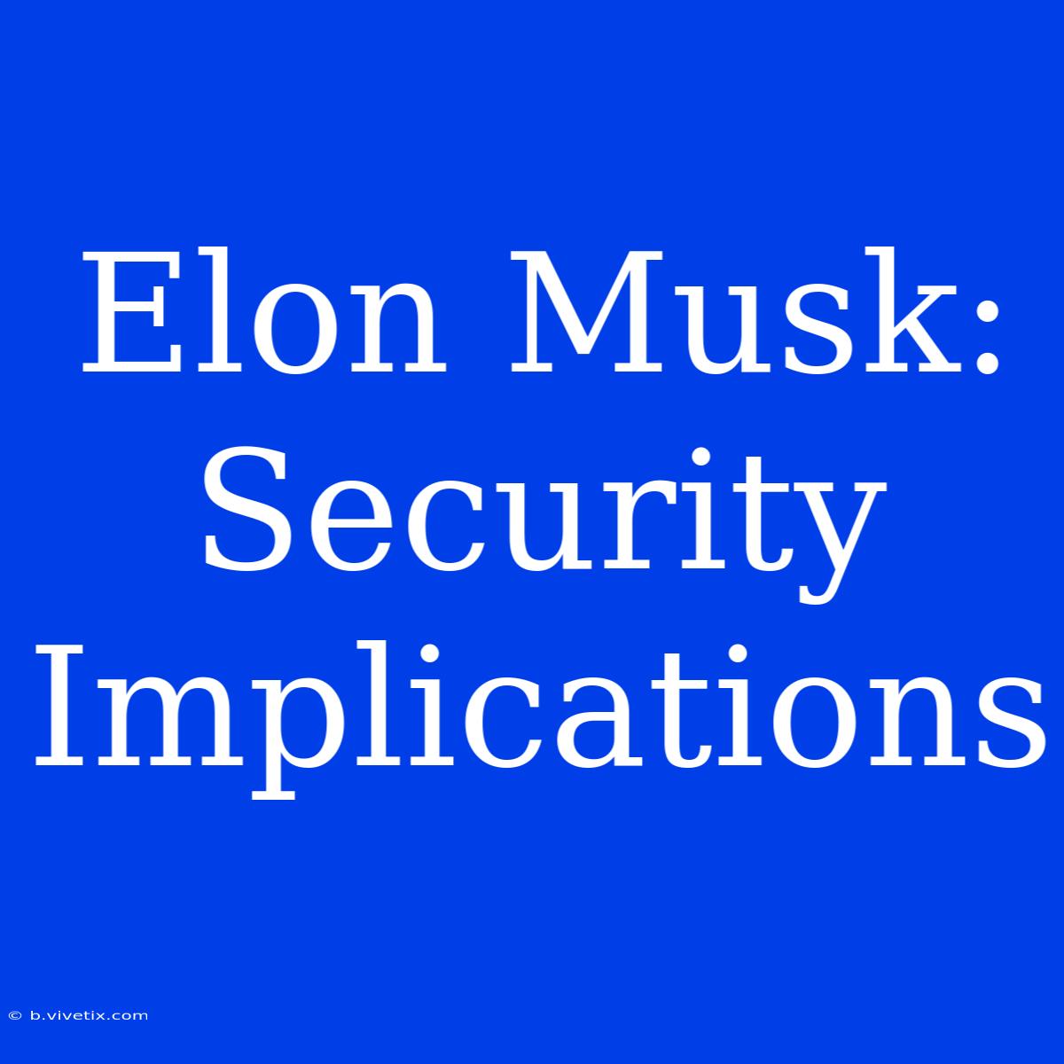 Elon Musk: Security Implications 