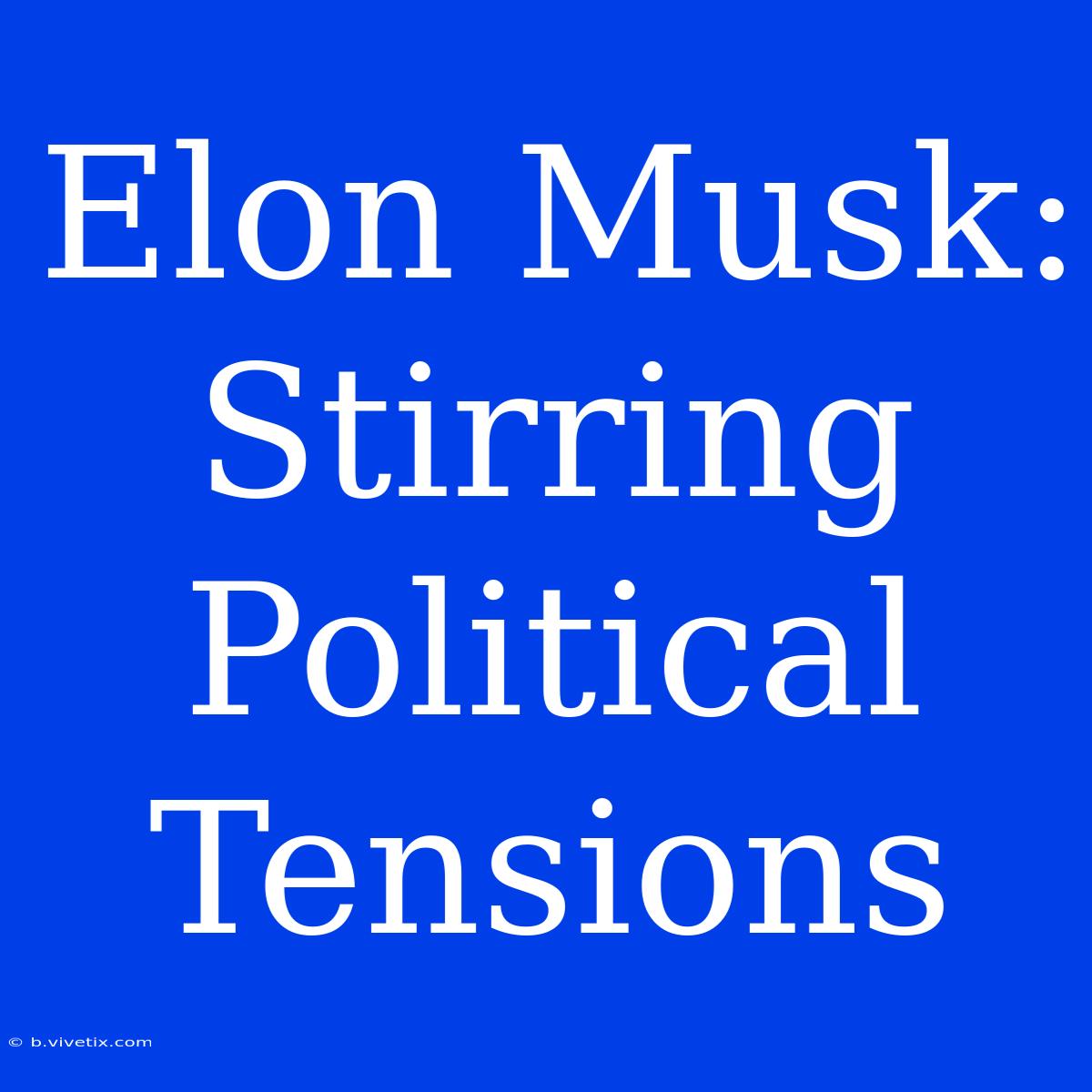 Elon Musk: Stirring Political Tensions