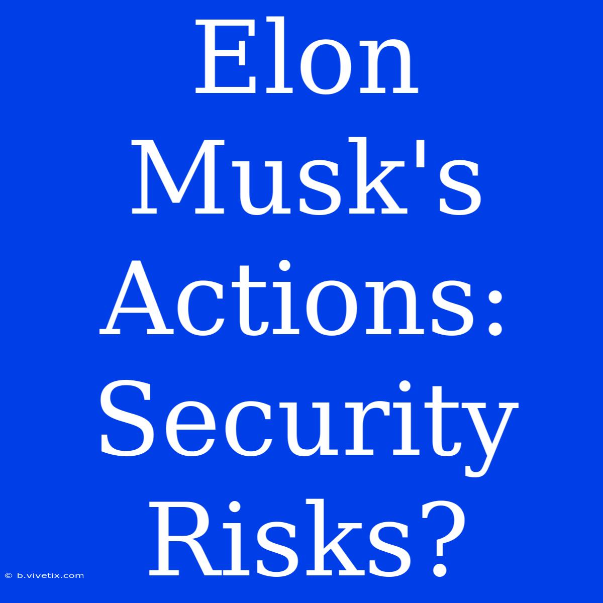 Elon Musk's Actions: Security Risks?