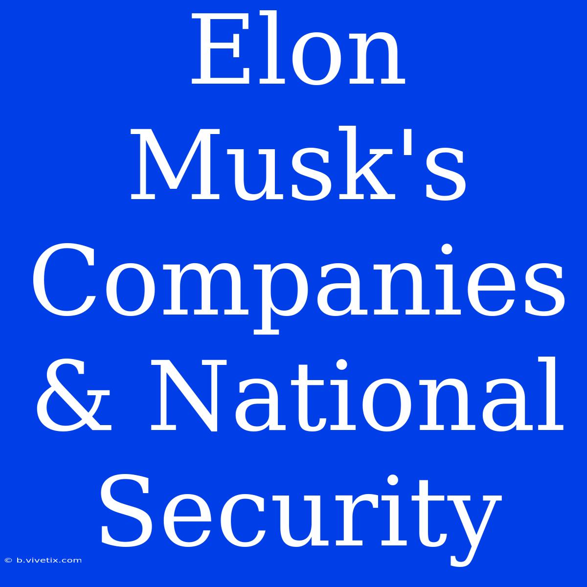 Elon Musk's Companies & National Security