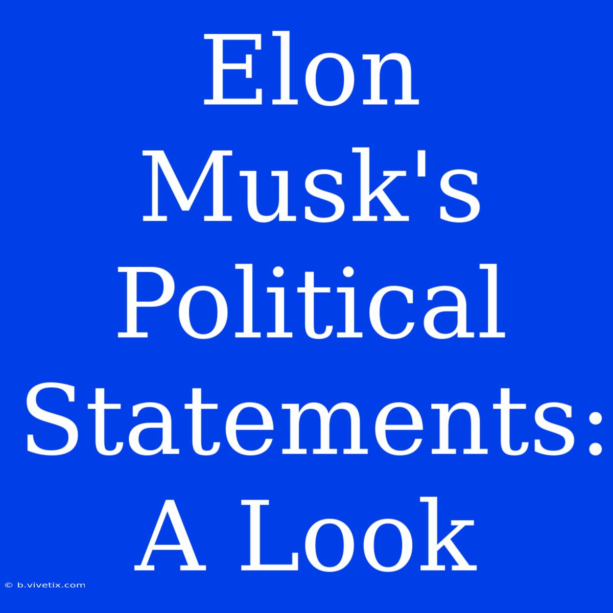 Elon Musk's Political Statements: A Look