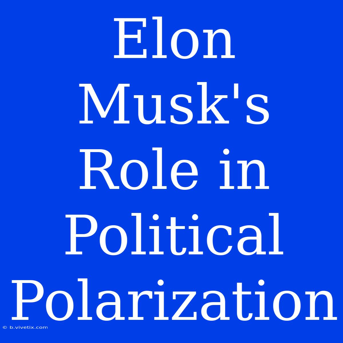 Elon Musk's Role In Political Polarization