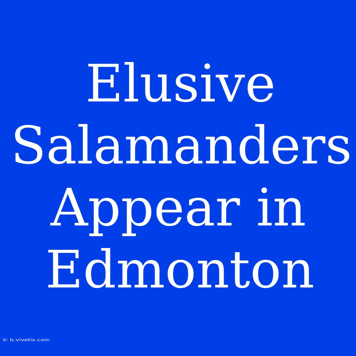 Elusive Salamanders Appear In Edmonton 