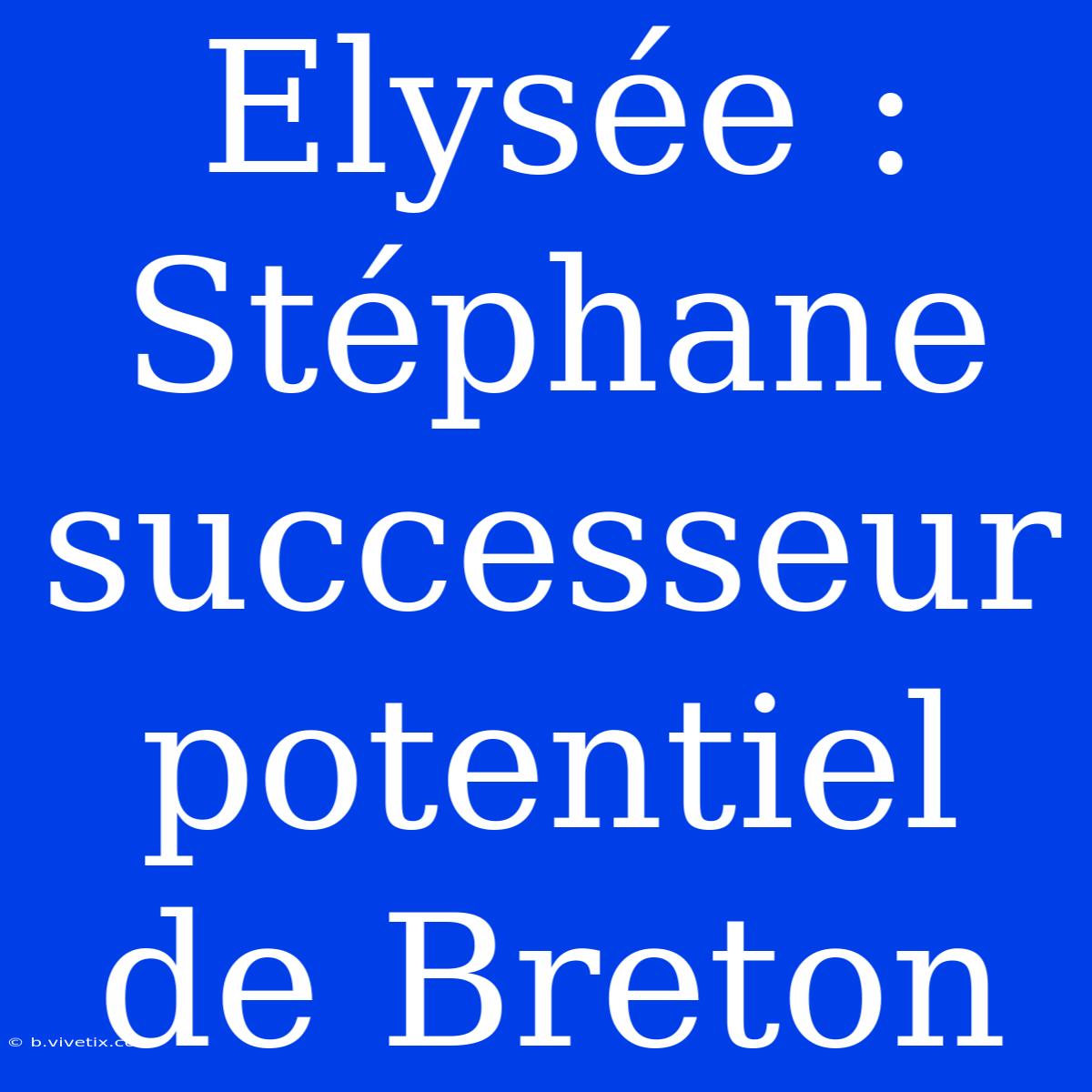 Elysée : Stéphane Successeur Potentiel De Breton