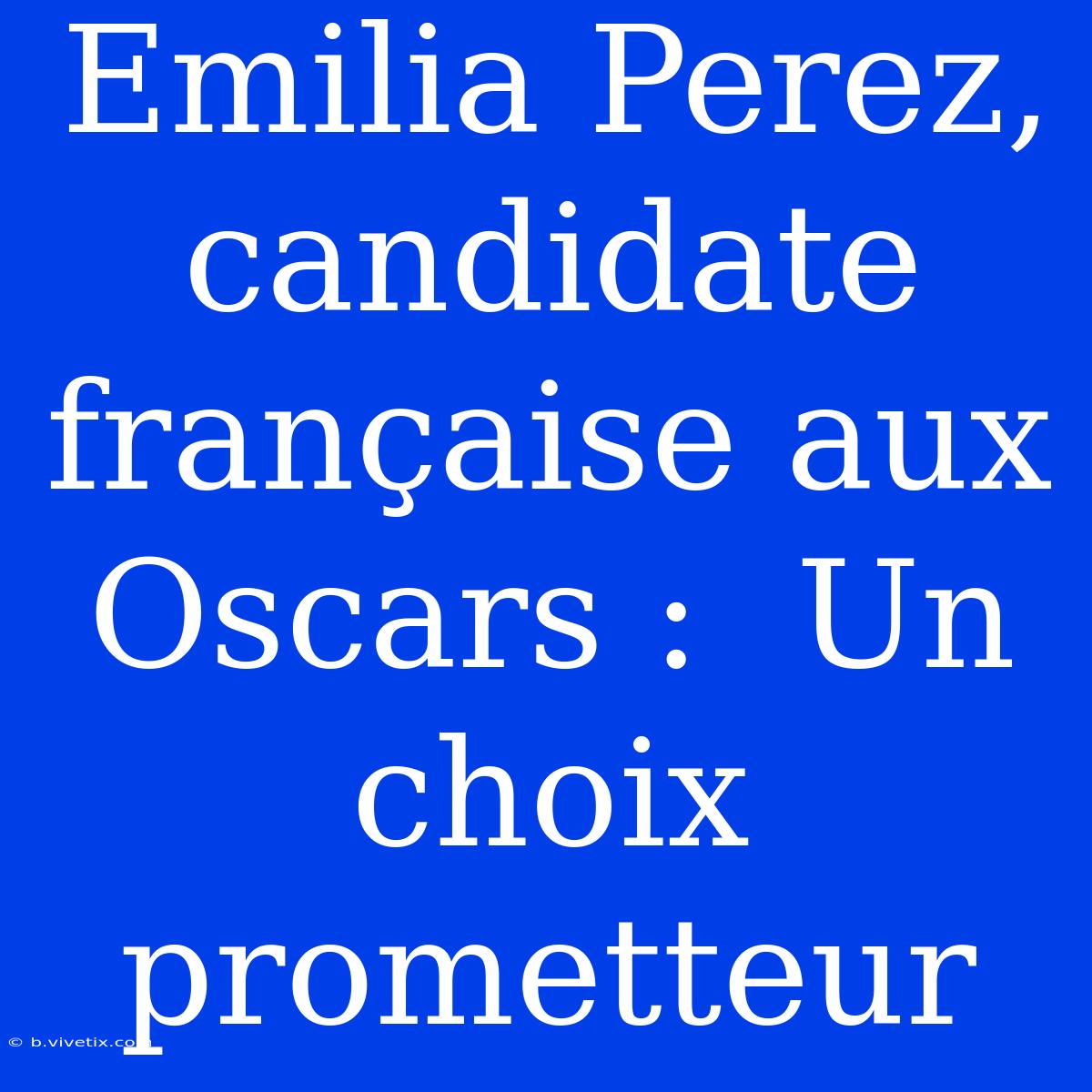 Emilia Perez, Candidate Française Aux Oscars :  Un Choix Prometteur