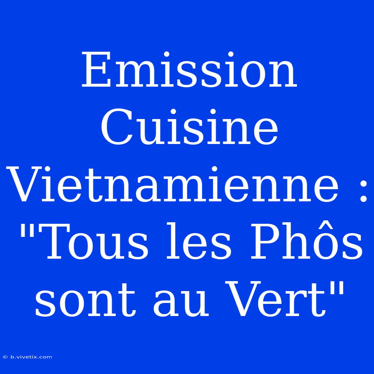 Emission Cuisine Vietnamienne : 